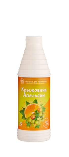 Основа для напитков ProffSyrup Крыжовник-Апельсин 1 кг в Казахстане