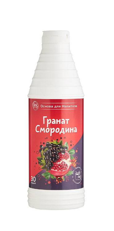 Основа для напитков ProffSyrup Гранат-Cмородина 1 кг  в Казахстане